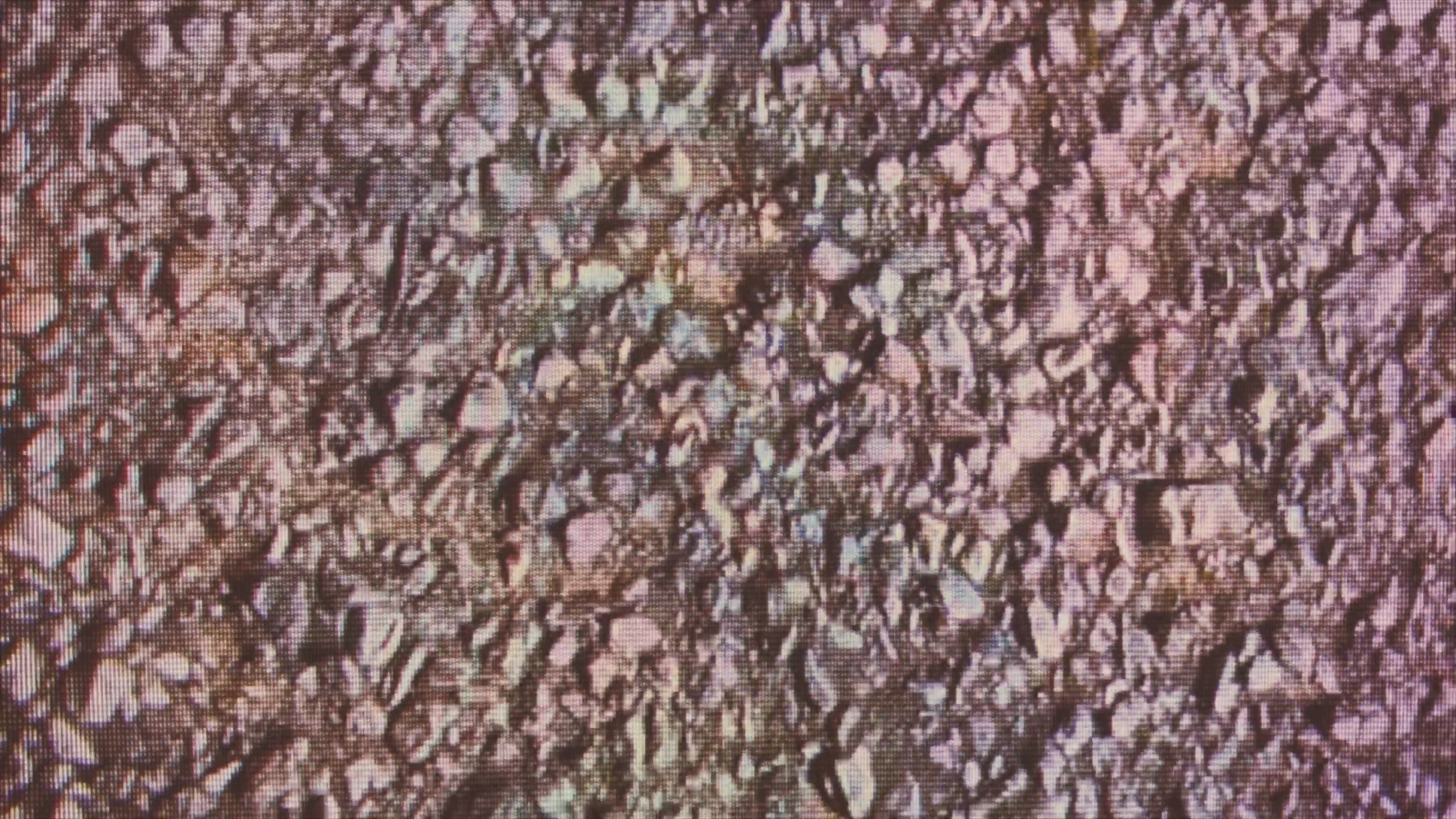 The Nothing thumbnail