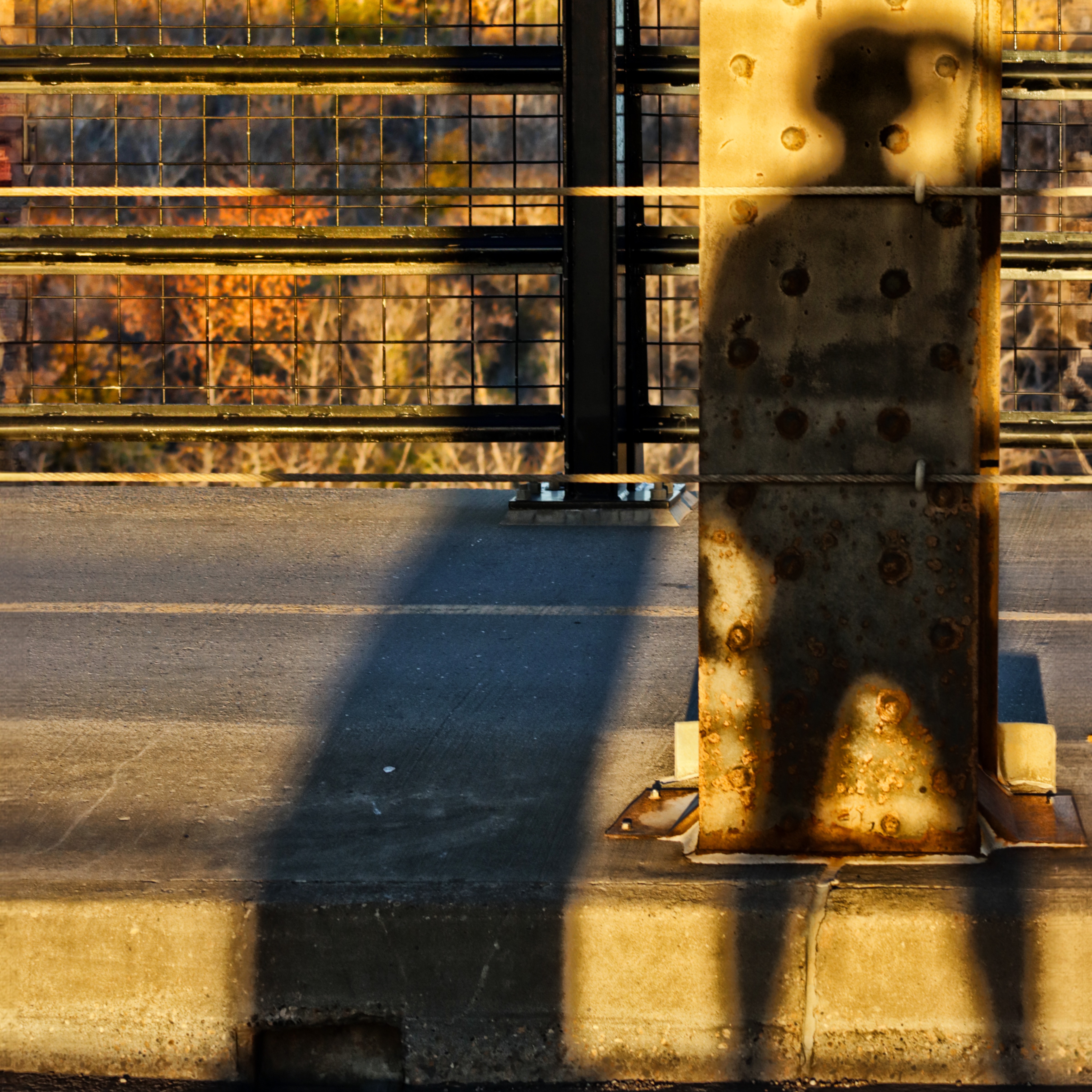 Read - 'Second Glances' Photo Book  thumbnail