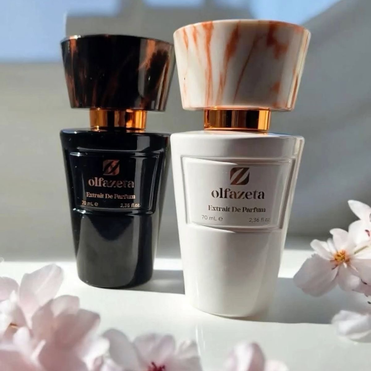 Découvrir le concept Chogan✨ thumbnail