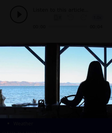 Upcoming workshops with Elise Wagner at Pier 11 studio thumbnail