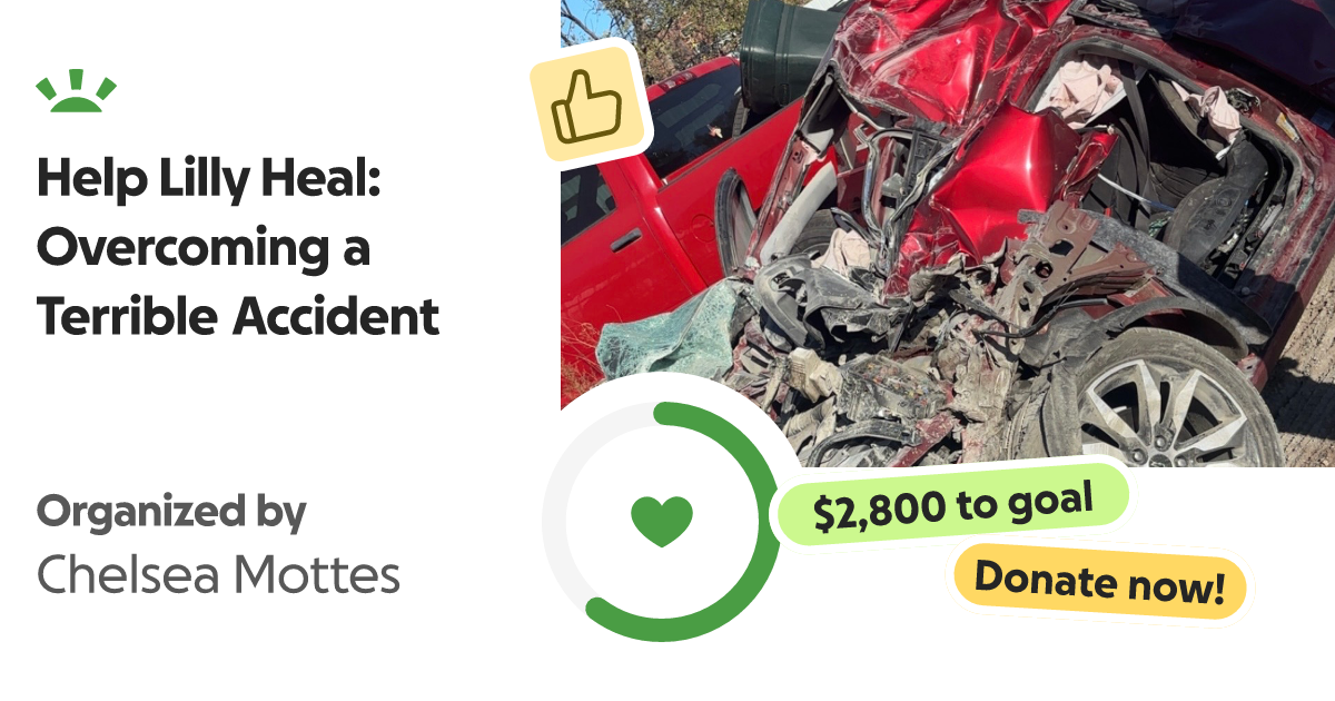 Donate to Help Lilly Heal: Overcoming a Terrible Accident, organized by Chelsea Mottes thumbnail