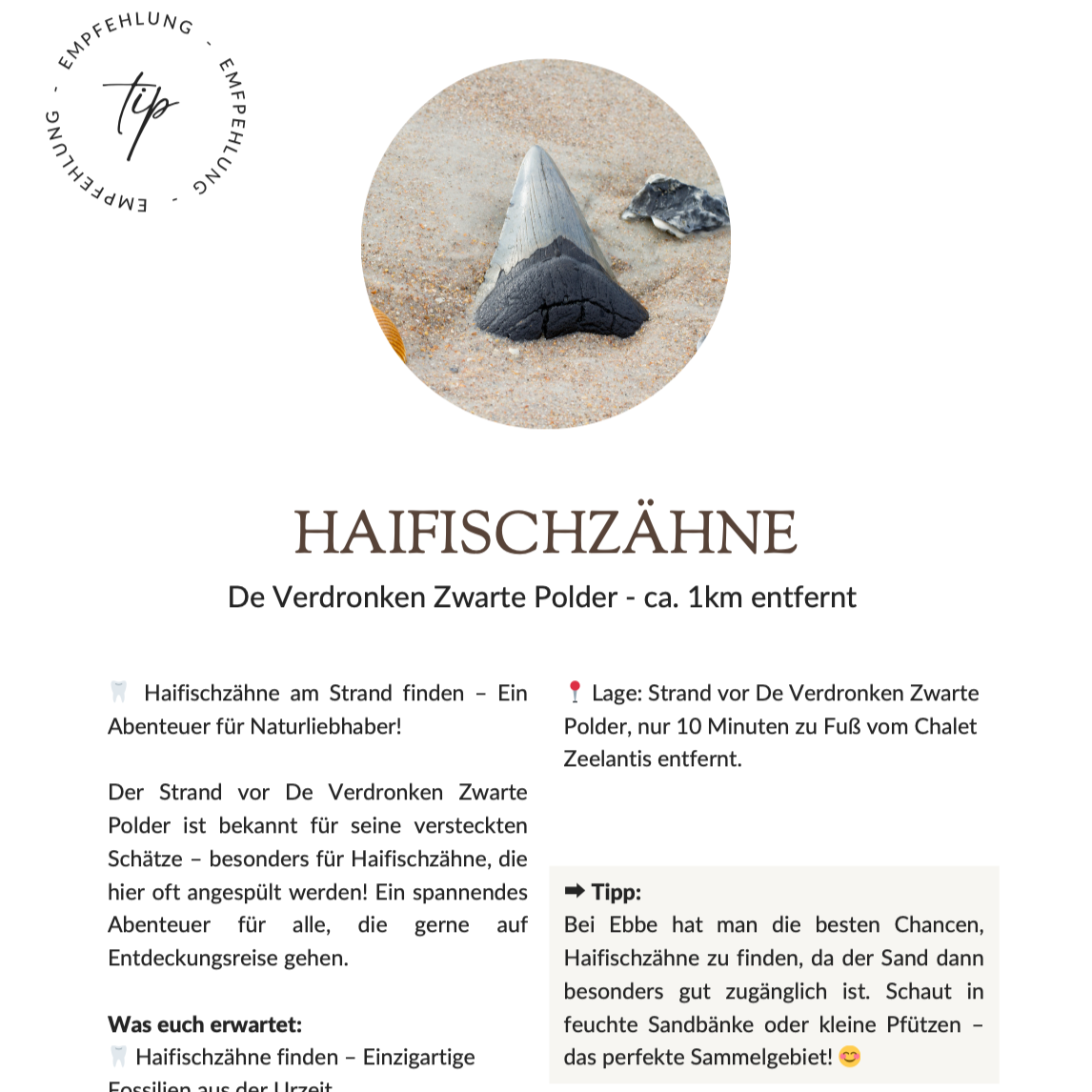 Haifischzähne thumbnail