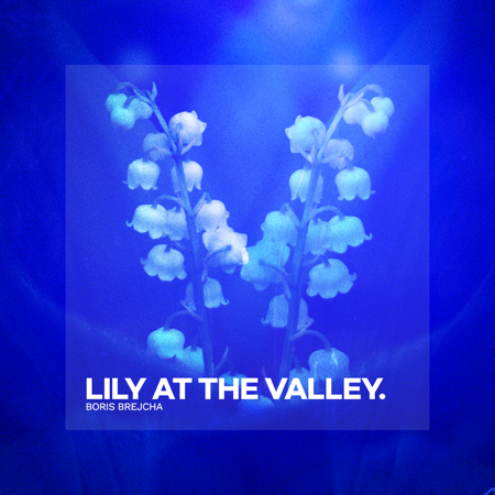 OUT NOW! | LILY AT THE VALLEY 🎵 thumbnail