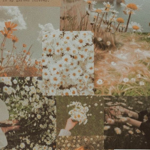 Become a Consultant thumbnail