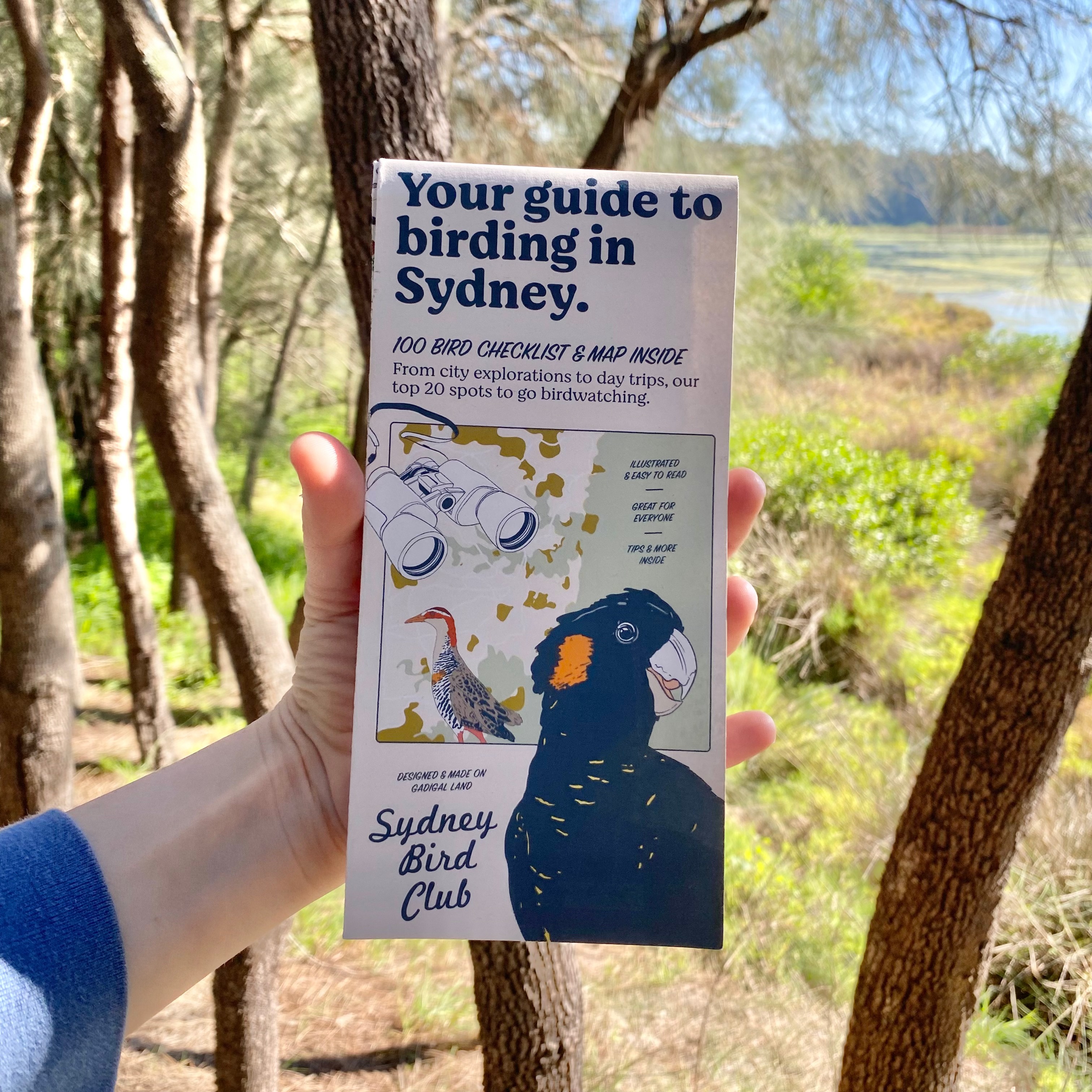 Birding in Sydney Guide  thumbnail