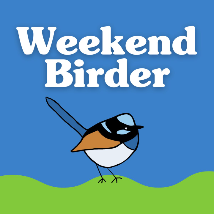 Weekend Birder Podcast thumbnail