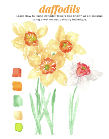 NEW Daffodil Painting Guide  thumbnail