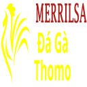 https://www.tumblr.com/dagamerrilsa thumbnail