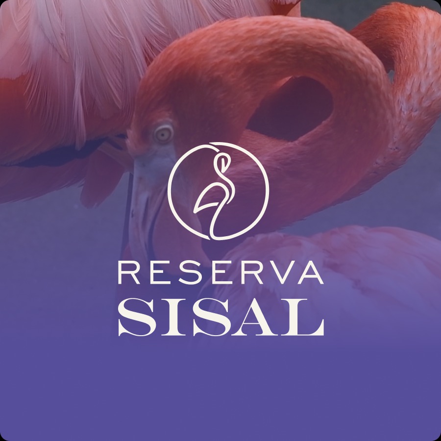 Reserva Sisal es un desarrollo exclusivo y semi urbanizado que se encuentra a 11 minutos del pueblo mágico costero sisal. thumbnail