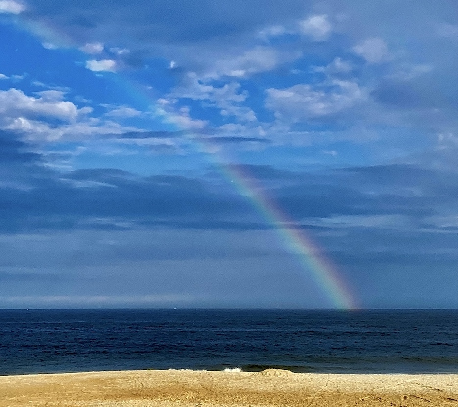 Field Guide to Magical Living-FREE GIFT thumbnail