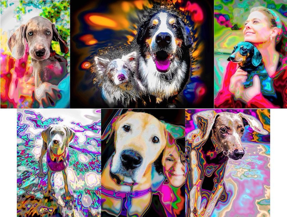 Holidays with 💜💗🤍

Celebrate your BFF as ART  and benefit @frankieandandysplace an amazing senior dog shelter & healing 