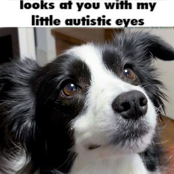 BUY ME STUFF BLEHH thumbnail