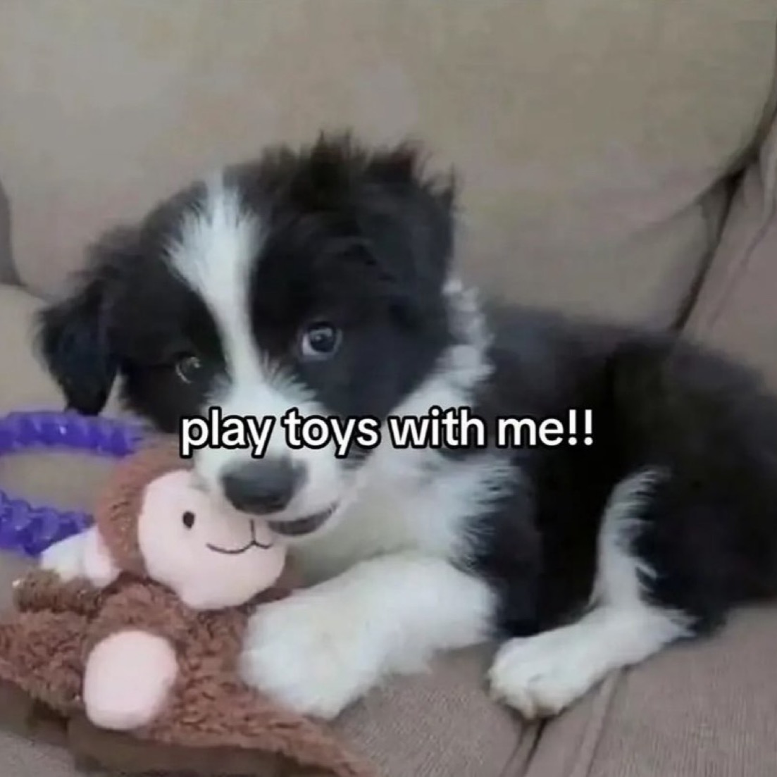 Fansly :3 heheheh thumbnail