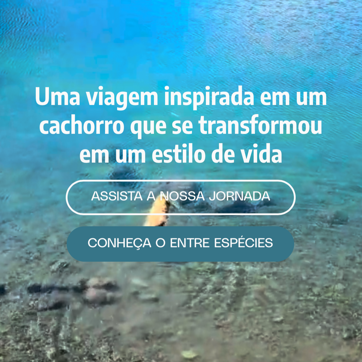 VISITE O NOSSO SITE 👆🏽 thumbnail