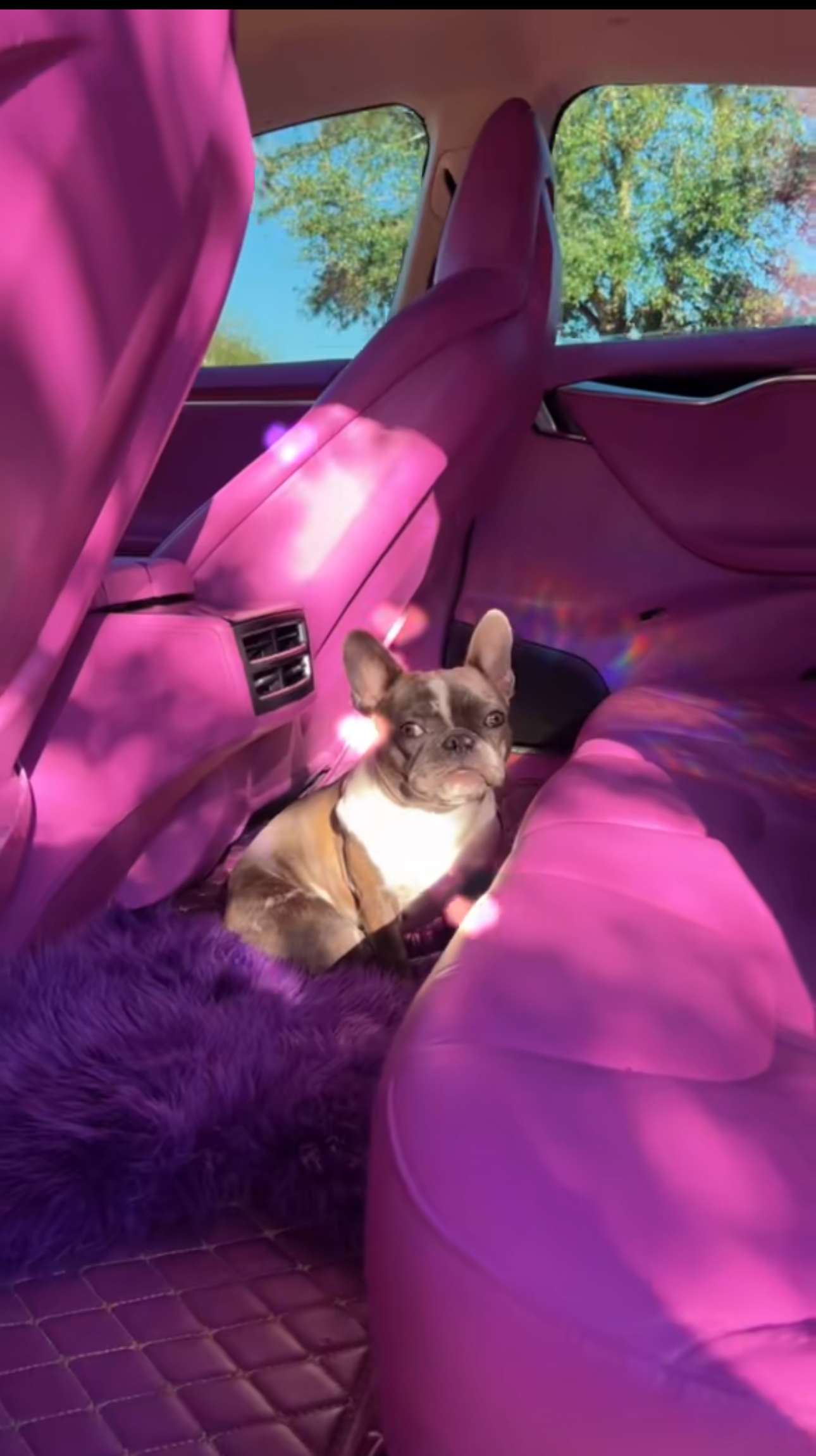 Custom pink car interior 🩷 thumbnail