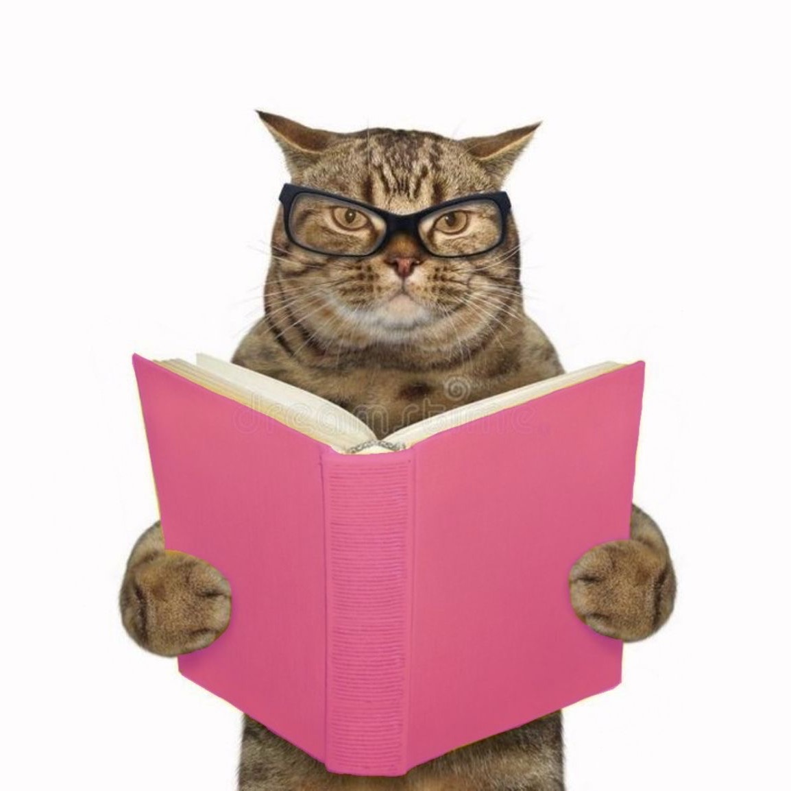 English Tiktok thumbnail