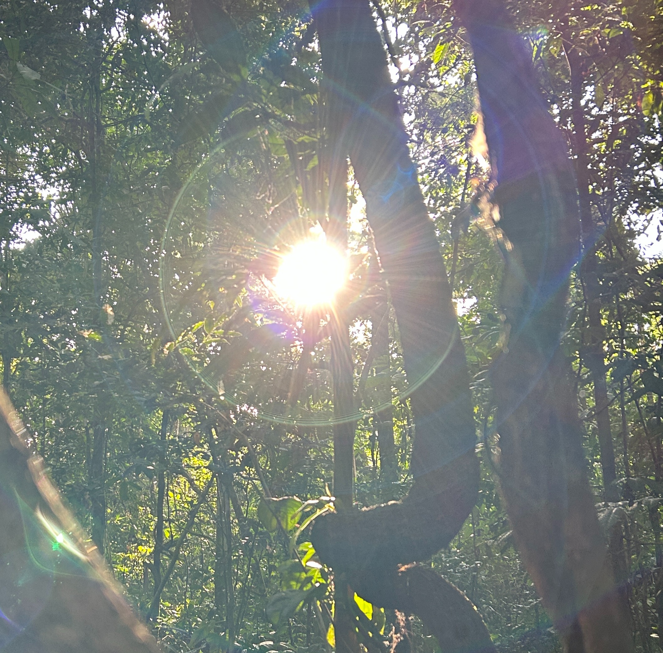 Zoom Link for 11/10/25 Community Circle thumbnail