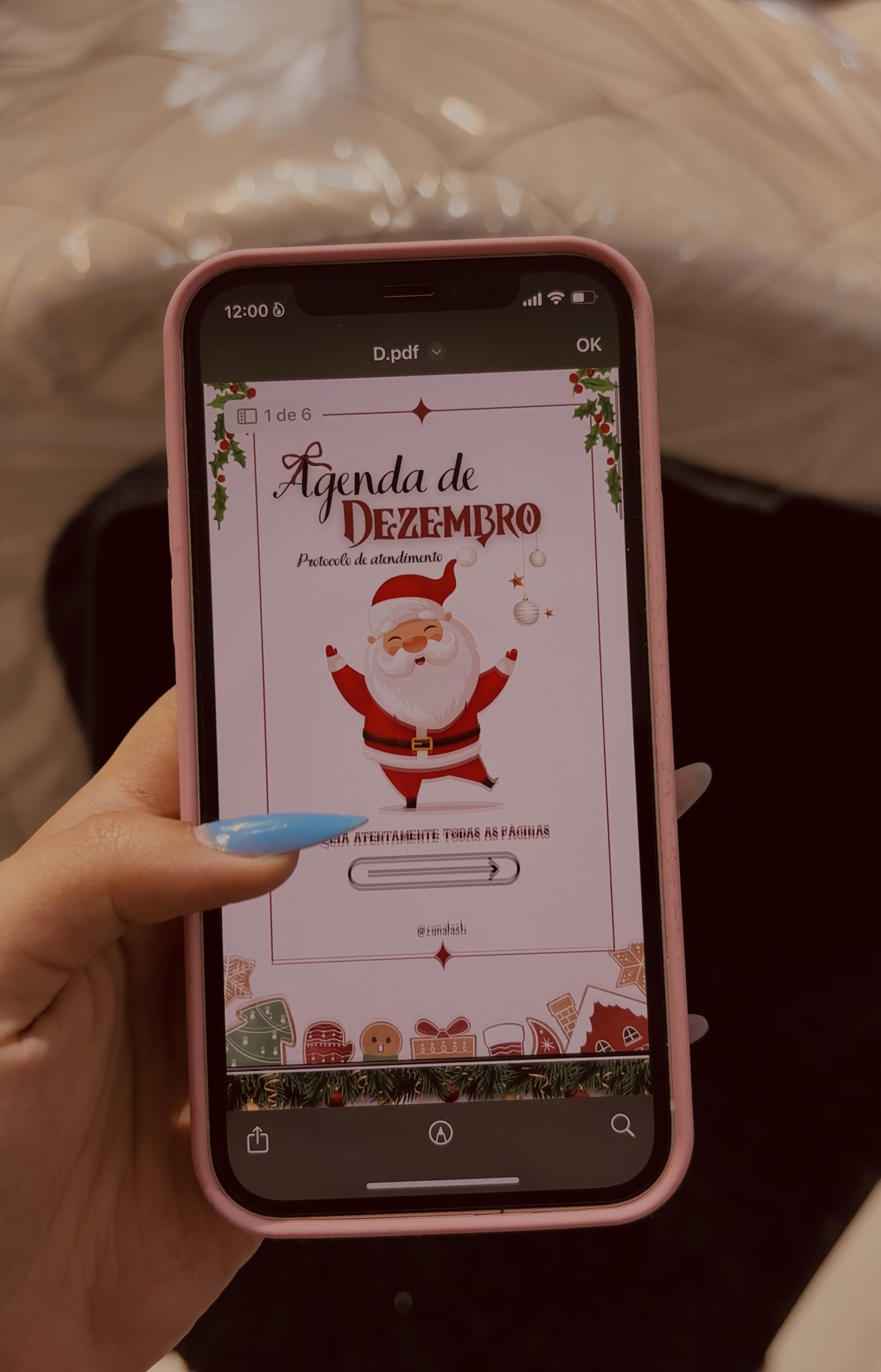 PROTOCOLO DE AGENDAMENTOS DEZEMBRO  thumbnail