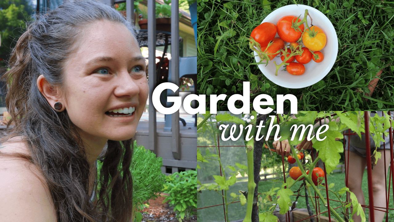 Garden Harvest Vlog thumbnail