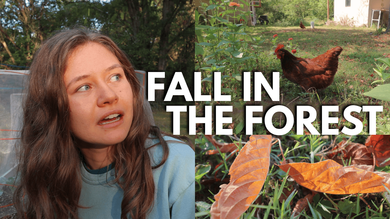 Garden Tour Vlog thumbnail