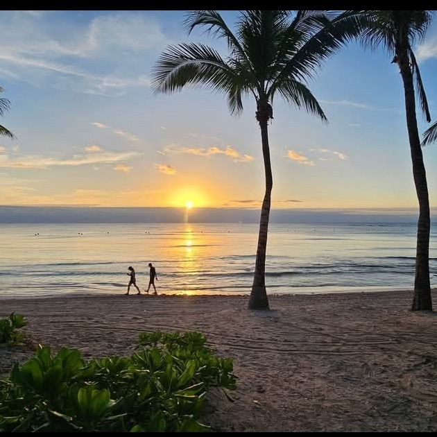 🌴🌴Mon nouveau site Internet  thumbnail