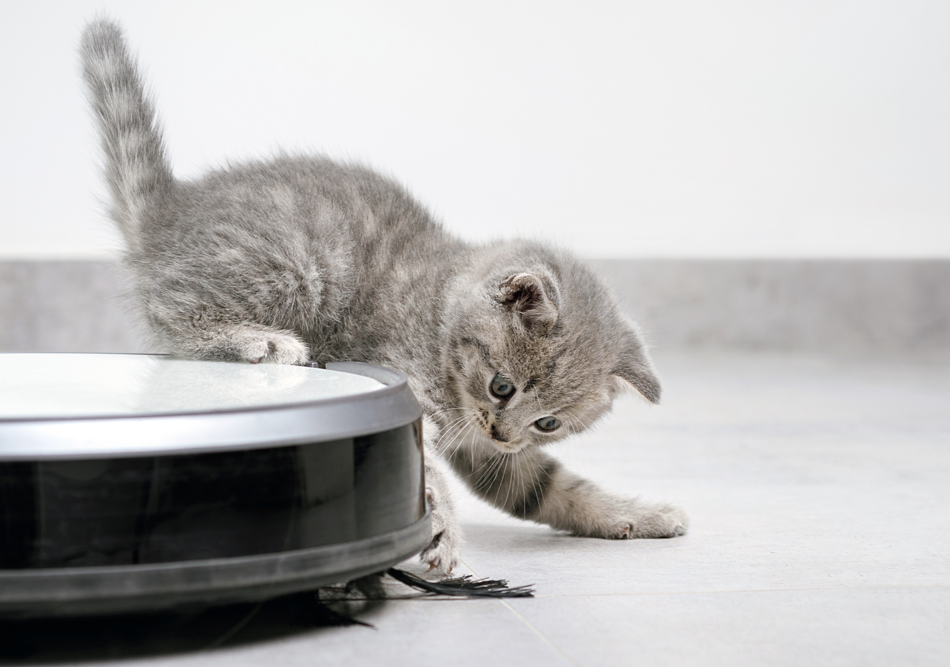 Aspirador Robot - Reparação e Manutenção thumbnail