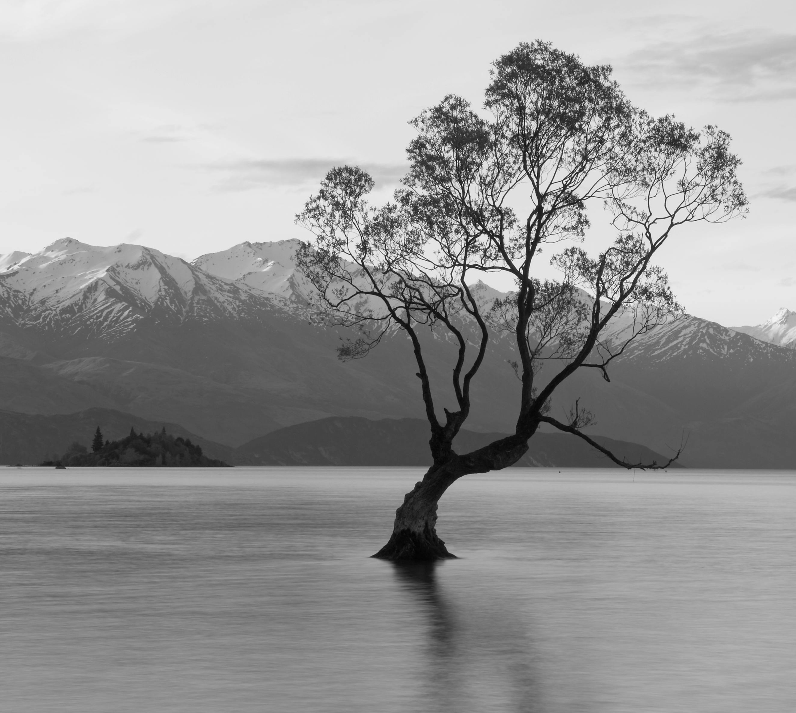 🧬 HERITAGE™ visio  | 1h45 pour te libérer des mémoires transgénérationnelles thumbnail