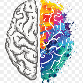 Read: The Brain Maps Out Ideas and Memories Like Spaces | Quanta Magazine thumbnail