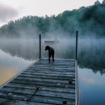 Buy a Print thumbnail