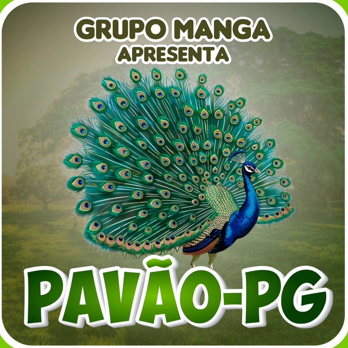 Manga-Paovão thumbnail