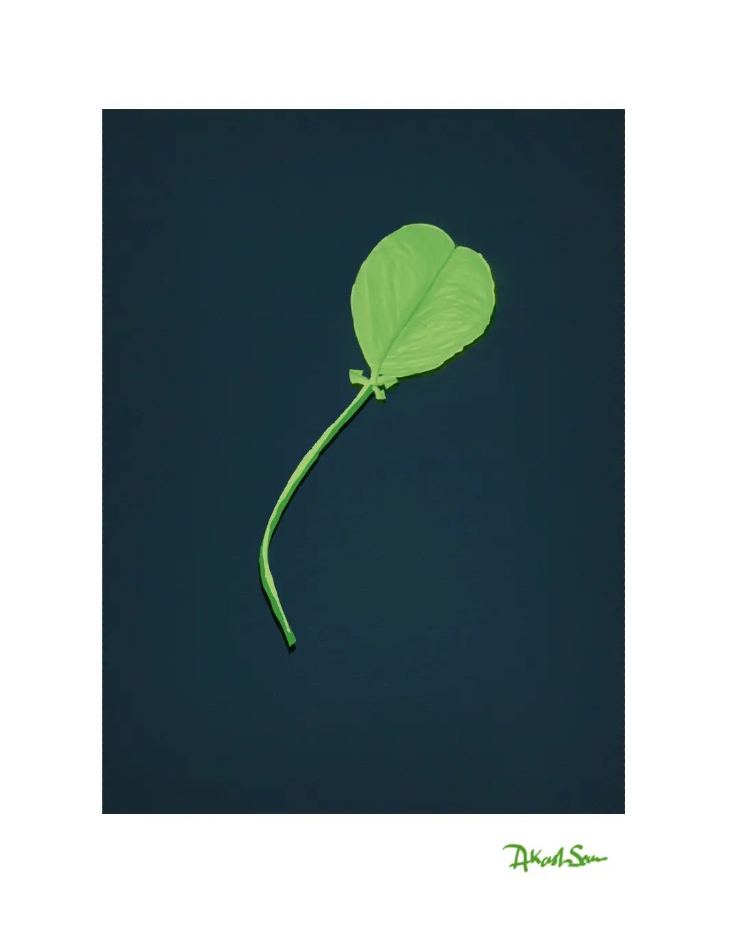 Lucky Quarter - Digital Artwork thumbnail