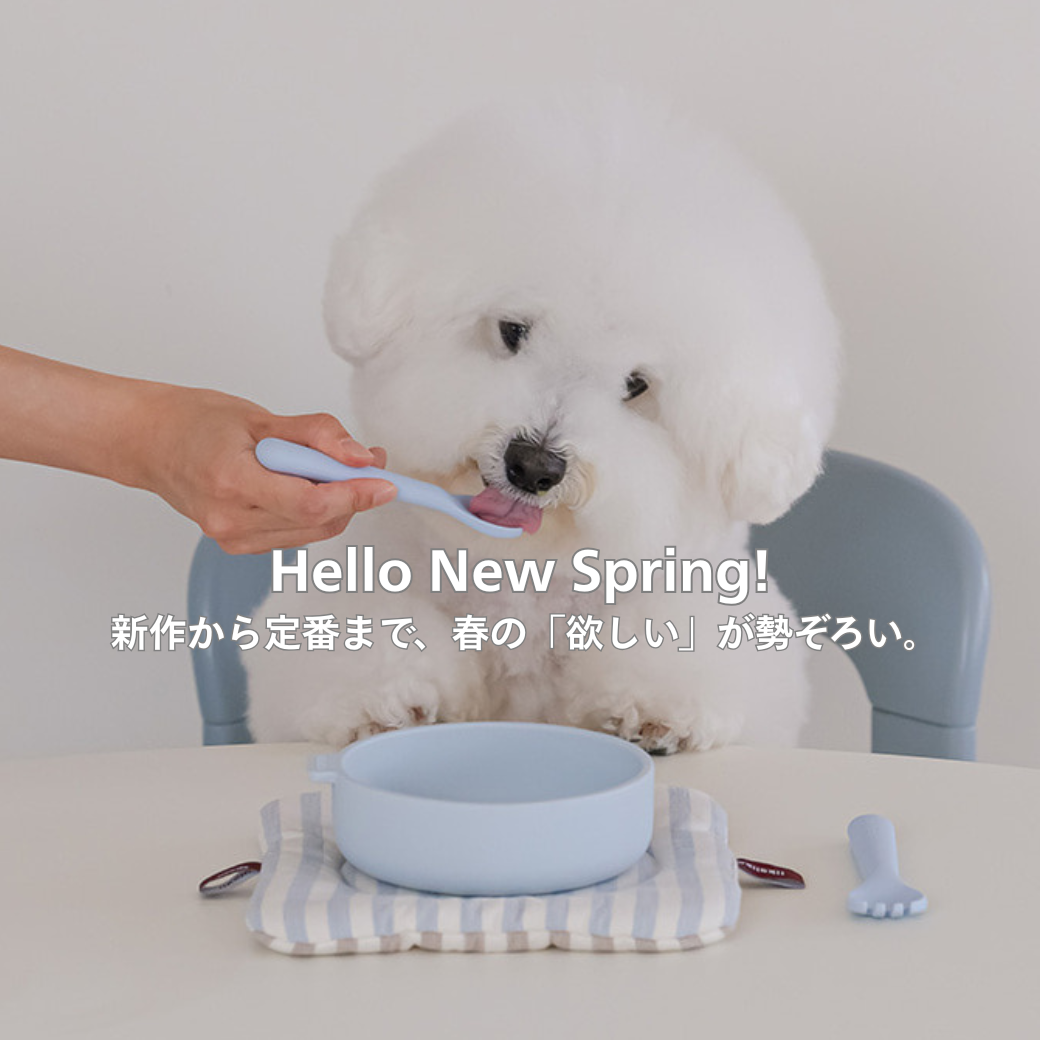 Hello Spring Sale🌸 thumbnail