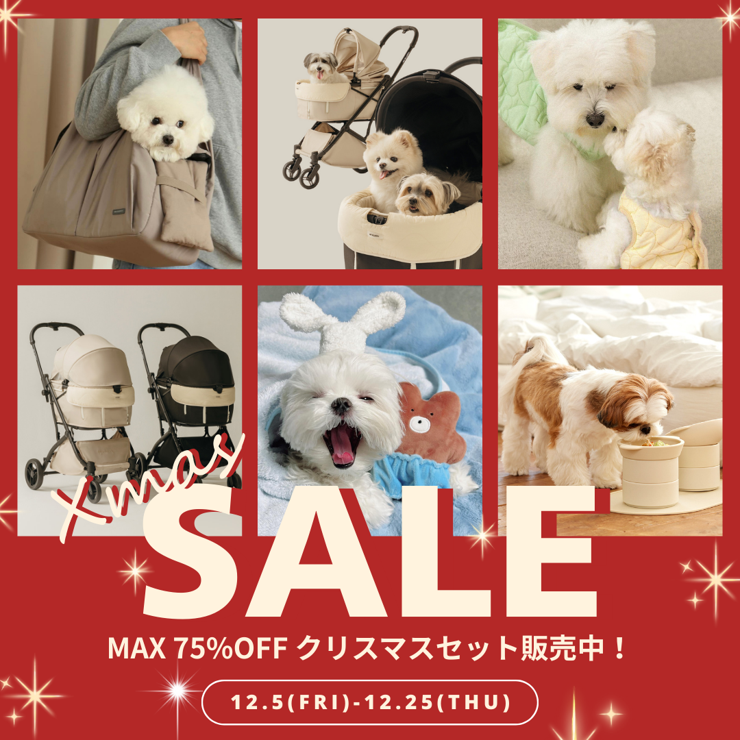 ❤️MAX 75%OFF！クリスマスフェア開催中！🎅🎁 thumbnail