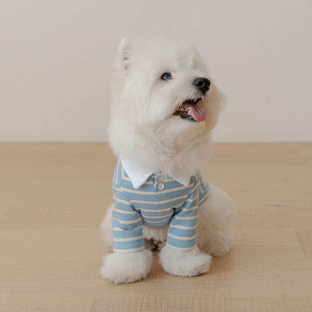 【全品10%OFF】likalika新作商品 🌸 thumbnail