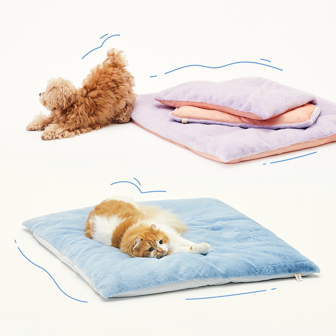 夏も冬も大活躍！リバーシブルお布団 thumbnail