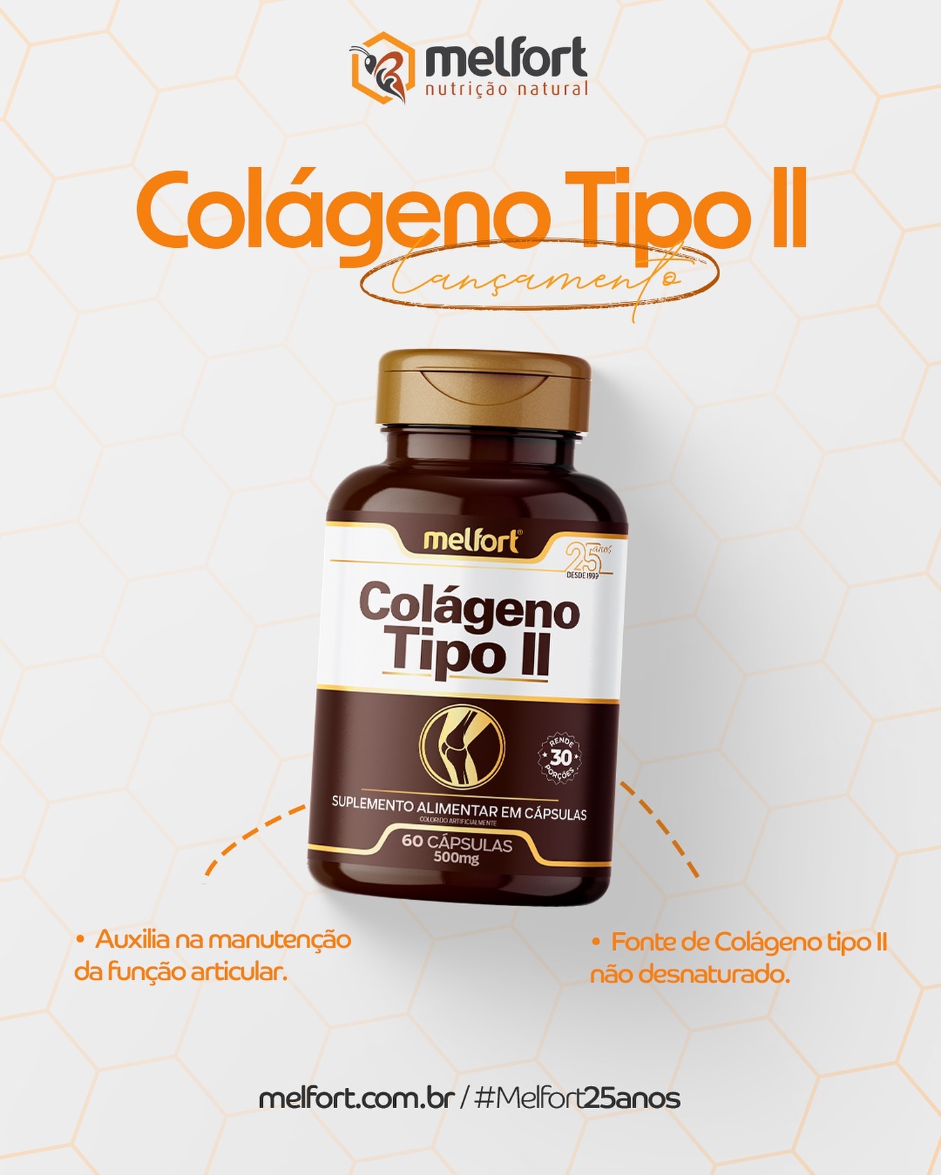 Transforme seu negócio em um verdadeiro sucesso com a Melfort!

• Nosso colágeno tipo II não desnaturado é o aliado perf