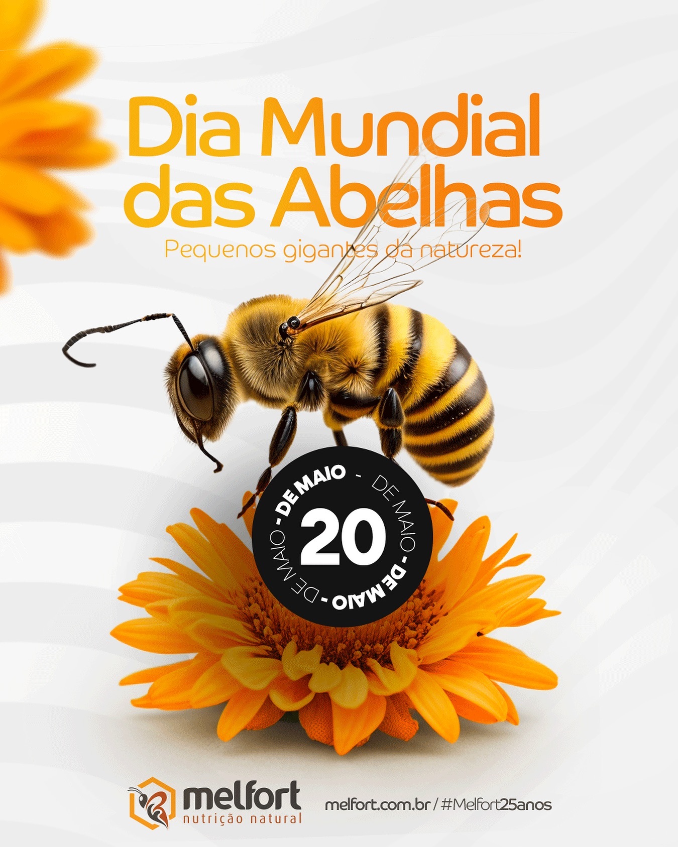 Celebramos o Dia Mundial da Abelha e os 25 anos da Melfort! 

As abelhas são essenciais para a polinização de plantas, c