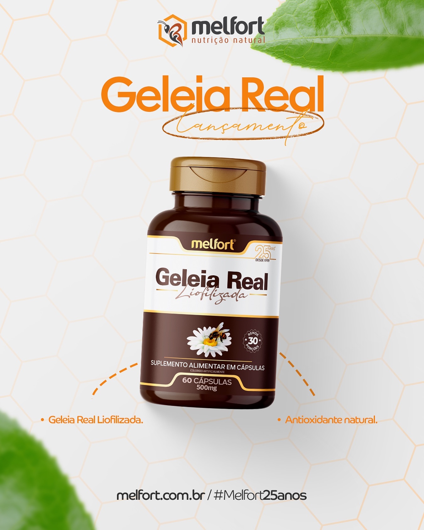 Transforme o seu negócio em um verdadeiro sucesso com a Melfort!

• Você sabia que a geleia real é reconhecida por seus 