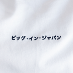 ビッグインジャパン thumbnail