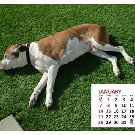 2024 Calendar Giveaway  thumbnail