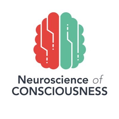Neuroscience of Consciousness Journal thumbnail