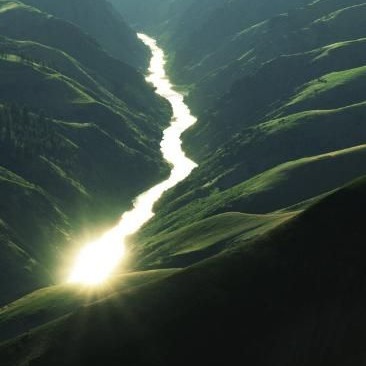 From Empire to Ecosystem thumbnail