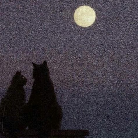 Star Medicine thumbnail