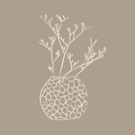 Etsy Shop thumbnail