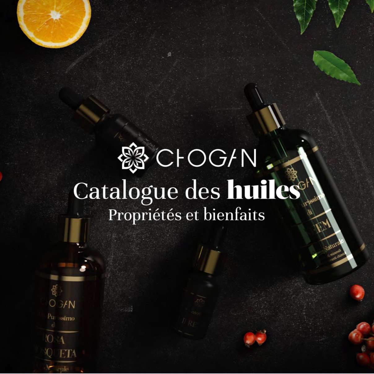 HUILES CHOGAN 🌻 thumbnail