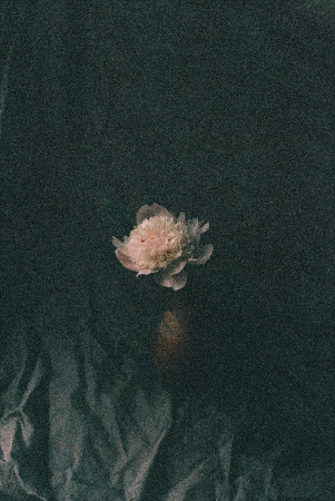 Ask For Flowers, Expect Rain thumbnail