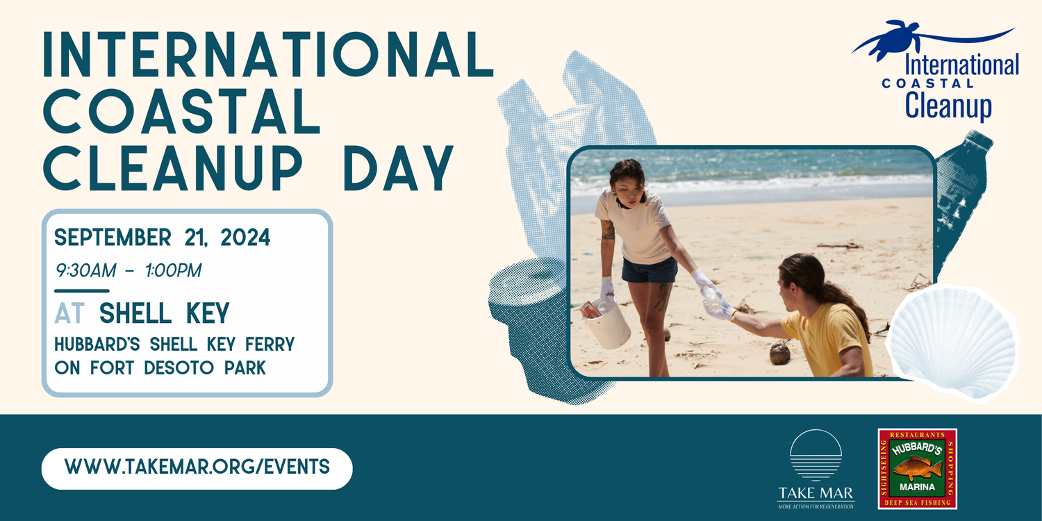 International Coastal Cleanup Day at Shell Key 🗓️ September 21 thumbnail