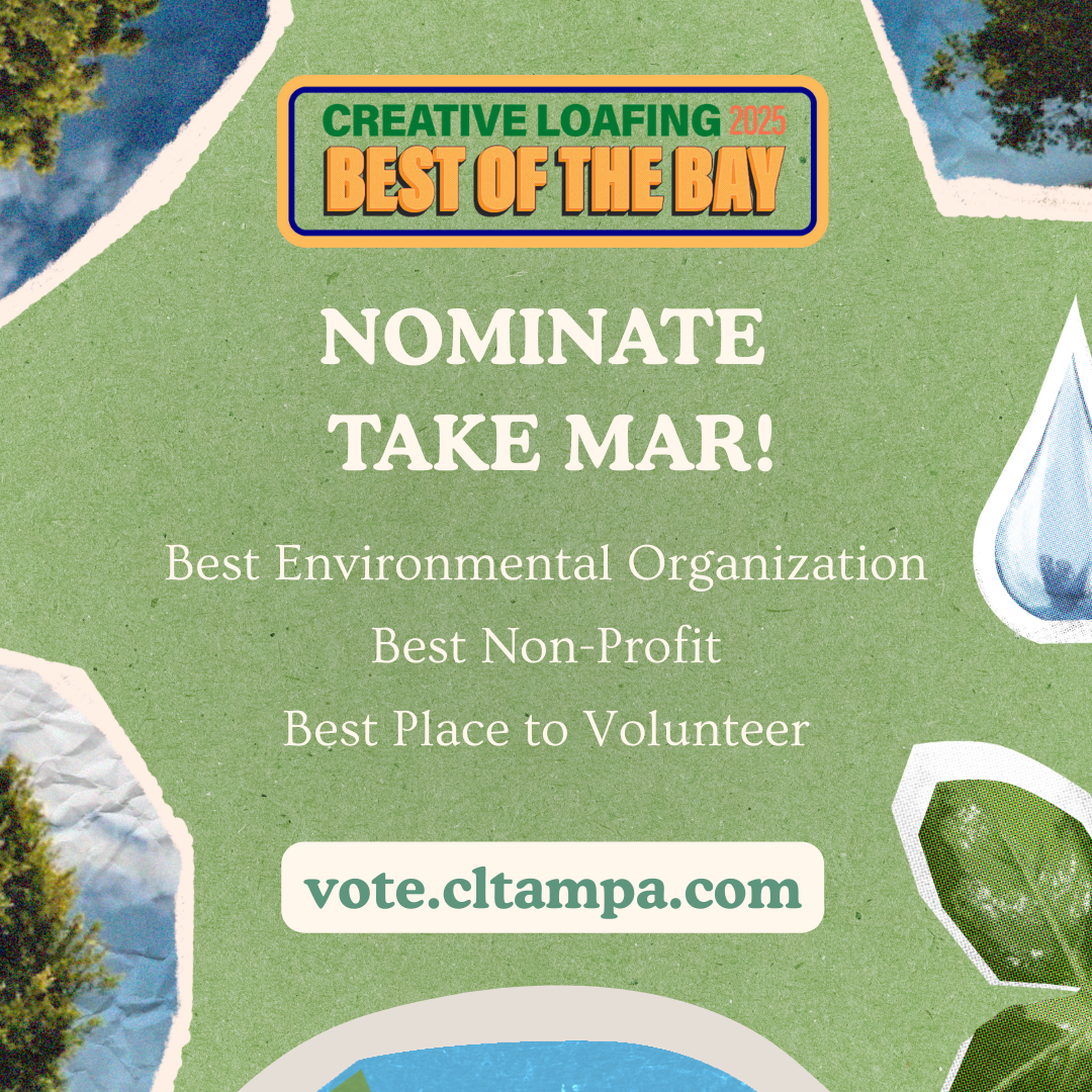 Best of the Bay Nominations thumbnail