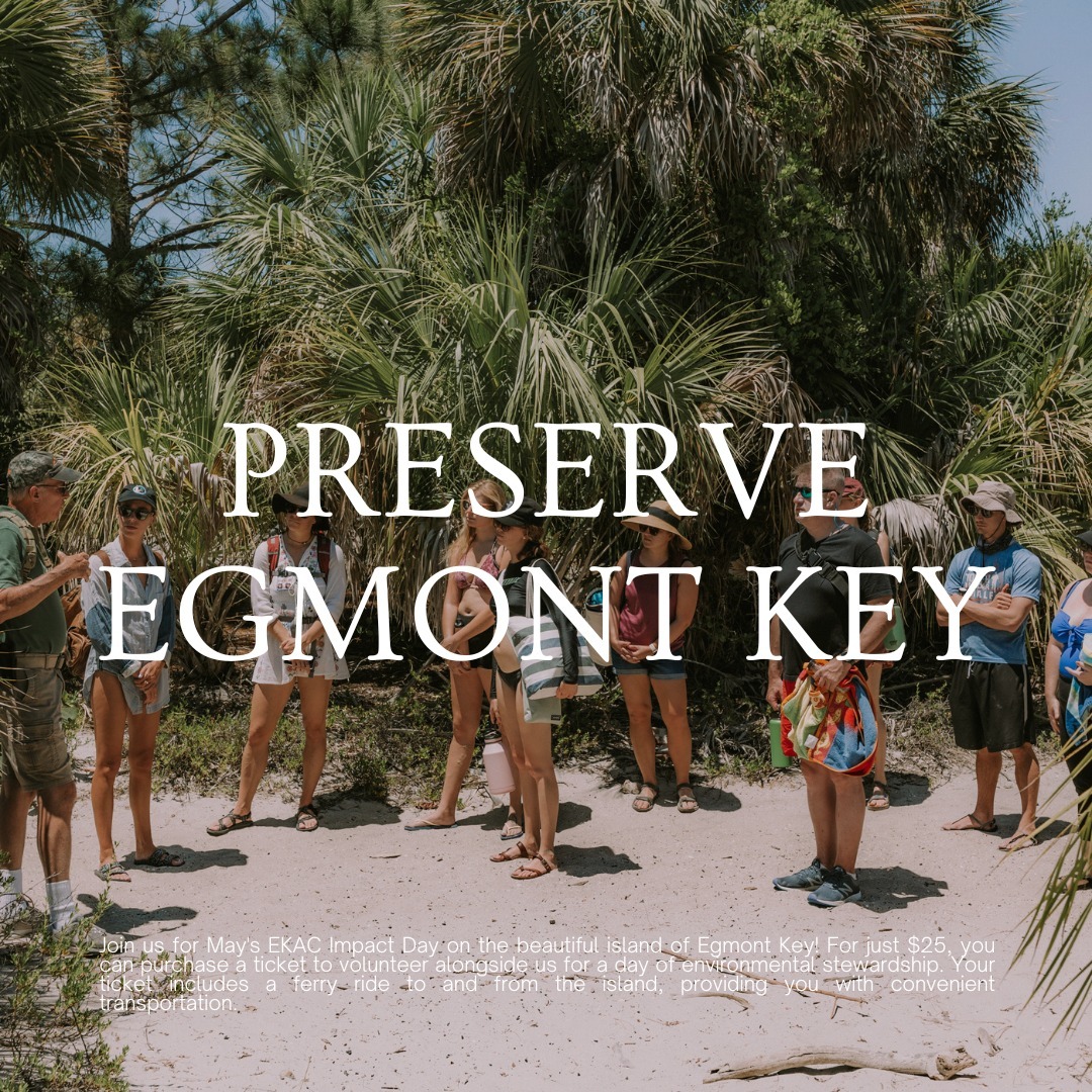 Join us for May's Egmont Key Impact Day on the stunning Egmont Key! 🏝️ For just $25, you can make a difference while enj