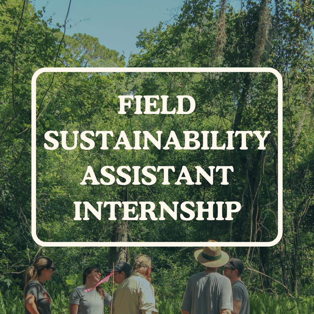 Internships thumbnail